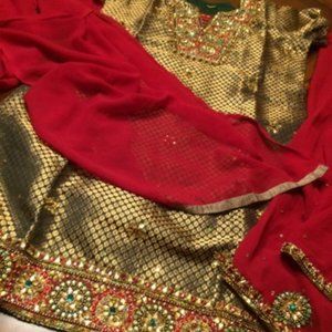 Indian/Pakistani/Bollywood/Desi/ Punjabi Salwar/ Patiyala Suit -3pc